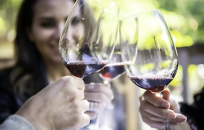 Main image linking to post titles: Wine Country Wellness In Sonoma County