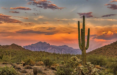 Main image linking to post titles: Bringing The Heat: Unforgettable Arizona Getaways