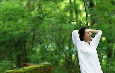 Main image linking to post titles: Japanese “forest Bathing” Takes Being One With Nature To A New Level