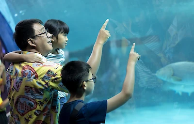 Main image linking to post titles: Learning on the Go: Educational Family Travel Experiences for Curious Kids