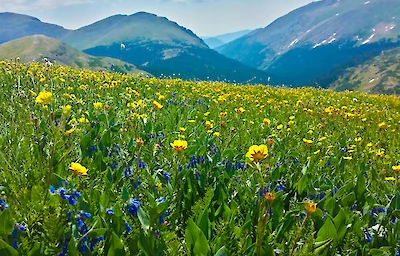 Main image linking to post titles: Six National Parks to Visit This Spring