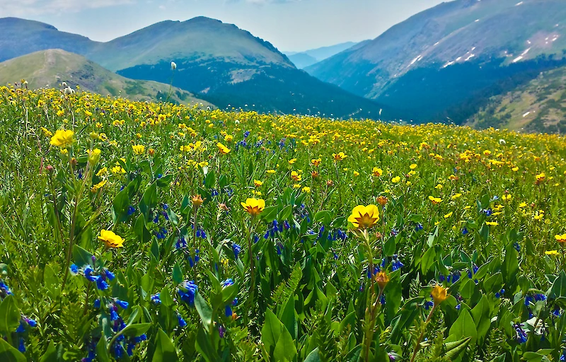 Main image linking to post titles: Six National Parks to Visit This Spring