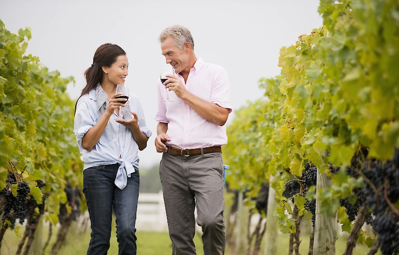 Main image linking to post titles: These Are The Best Underrated U.S. Wine Regions Worth Visiting—And Where to Stay