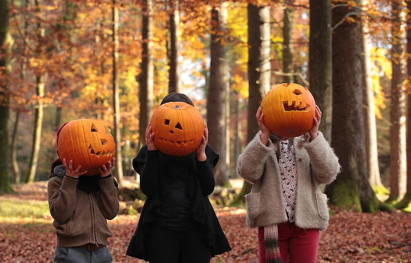Main image linking to post titles: These 3 Destinations Go All Out for Halloween