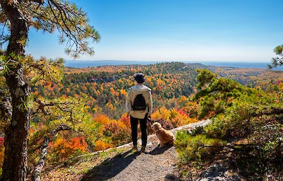 Main image linking to post titles: Embrace the Season: Best Destinations for Fall Foliage