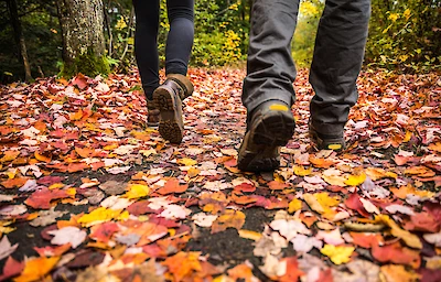 Main image linking to post titles: Hikes You'll Fall In Love With